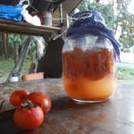 柿酢を作ろう♪　～胸いっぱいの愛を　樽いっぱいの柿酢を～　前篇　収穫と仕込み